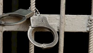 В Жамбылской области задержаны четверо нелегалов из Пакистана