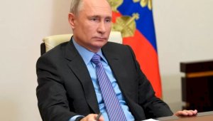Путин поддержал предложение о запрете термина «инфоцыгане» в СМИ