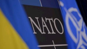 Парламентская ассамблея НАТО признала преступления России против Украины геноцидом