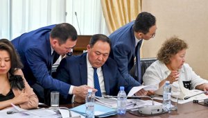 По инициативе Казахстана расширен перечень товаров для госзакупок стран ЕС