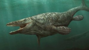 Останки доисторического «морского монстра» обнаружили высоко в горах
