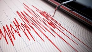 Землетрясение произошло в 662 км от Алматы
