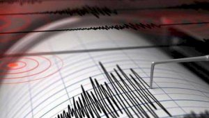 Землетрясение зафиксировано в 413 километрах от Алматы