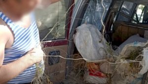 У жителя Жетысуской области изъяли около 100 килограммов незаконно выловленной рыбы