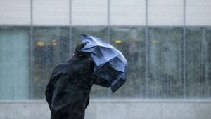 Дожди, град, пыльная буря: синоптики предупредили о непогоде в Казахстане на 25 июня