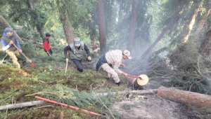 Пожарные не дали распространиться огню в Колсай колдеры