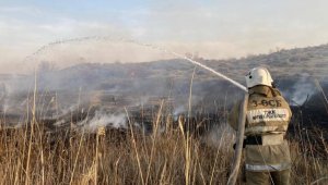 Пожар в Иле-Балхашском резервате удалось снизить до 120 гектаров