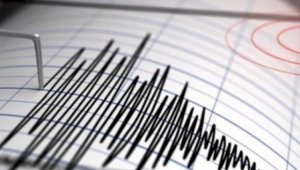 Землетрясение произошло в 542 км от Алматы