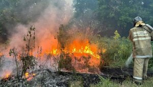 Как вести себя на природе и при лесных пожарах
