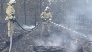 Тушение пожара в области Абай продолжается