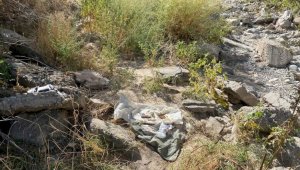 Схрон с оружием и боеприпасами найден в Жетісу