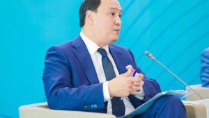 Министр Карашукеев: В решении земельных вопросов нужна поддержка депутатов