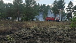 Загорание лесопокрытой зоны произошло в резервате «Семей орманы» Абайской области