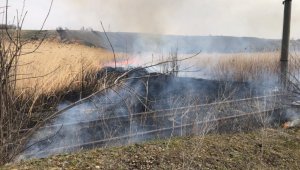 Загорание камыша в Алматинской области ликвидировано
