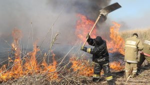 200 гектаров камыша горит в Абайской области