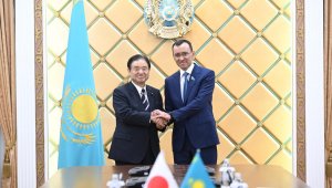 Парламентарии из Японии ознакомились с ходом реализации политических реформ в Казахстане