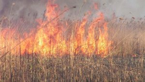 Возгорание камыша тушат в Алматинской области