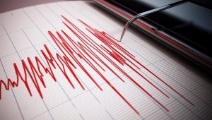 Землетрясение произошло в 266 км от Алматы