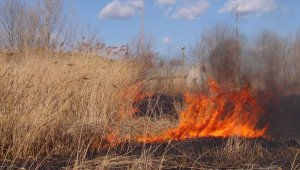 Загорание сухостоя ликвидировано в Туркестанской области