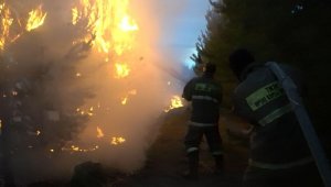 Фоторепортаж тушения пожара в резервате «Ертіс орманы»