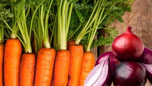 В Казахстане сформированы необходимые запасы лука и моркови – Минсельхоз