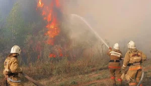 Тушение пожара в «Семей Орманы» осложняется погодой и болотистой местностью