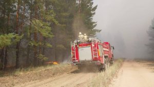 Природный пожар тушат в Карагандинской области