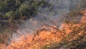 На пятый день локализован пожар в высокогорье ВКО