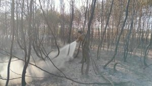 Загорание сухой травы около Степногорска локализовано