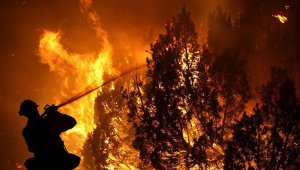 Около 390 чрезвычайных ситуаций произошло с начала года в ВКО, из них более 320 – пожары