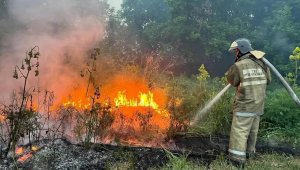 Пожар вспыхнул в резервате «Семей орманы»