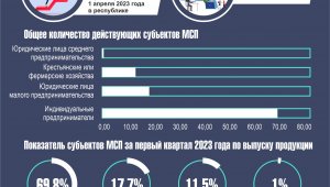Сколько казахстанцев вовлечено в МСБ