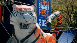 Второй ежегодный Tiger Summer Fest с успехом прошел в Алматы
