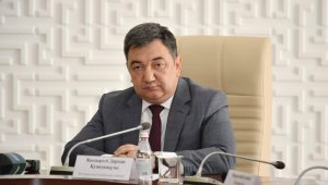 Акцию против насилия предложил провести министр Кыдырали