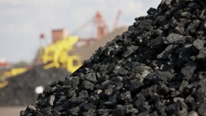 Проверить пункты реализации угля поручил Алихан Смаилов