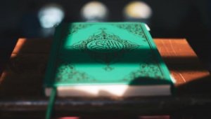 В Дании запретят сжигание Корана на законодательном уровне