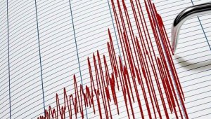 Землетрясение в Китае зафиксировали алматинские сейсмологи