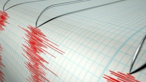 Землетрясение произошло в 731 км от Алматы