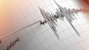 Землетрясение зафиксировано в 693 километрах от Алматы