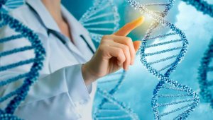 Генеалогические ДНК-тесты набирают популярность в Алматы