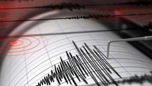 Землетрясение произошло в 400 км от Алматы