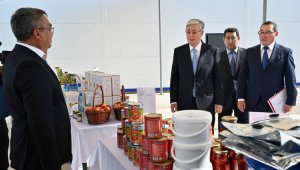 Какие объекты посетил в Алматинской области Президент