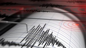 Землетрясение произошло в 553 км от Алматы