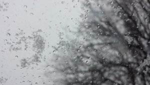 Мокрый снег ожидается в Казахстане