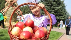 Главным событием Дня города в Алматы стал традиционный фестиваль Аlma Fest