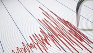 В Грузии произошло землетрясение магнитудой 4,7