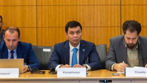 Казахстан принимает участие в заседании ОЭСР
