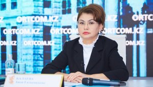 Аида Балаева прокомментировала поправки в законопроект о масс-медиа