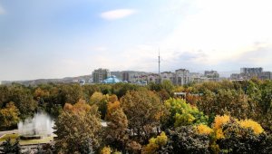 Какой будет погода в Алматы и области 7 октября