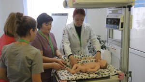 Опытом по снижению младенческой смертности поделились московские врачи с павлодарскими коллегами